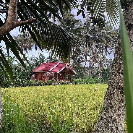 Syaqila Homestay Lombok Tetebatu Ngoại thất bức ảnh