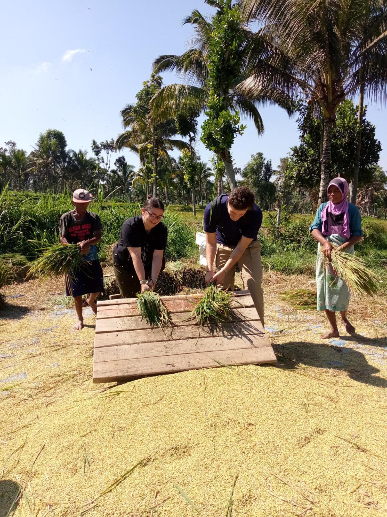 Syaqila Homestay Lombok Tetebatu Ngoại thất bức ảnh