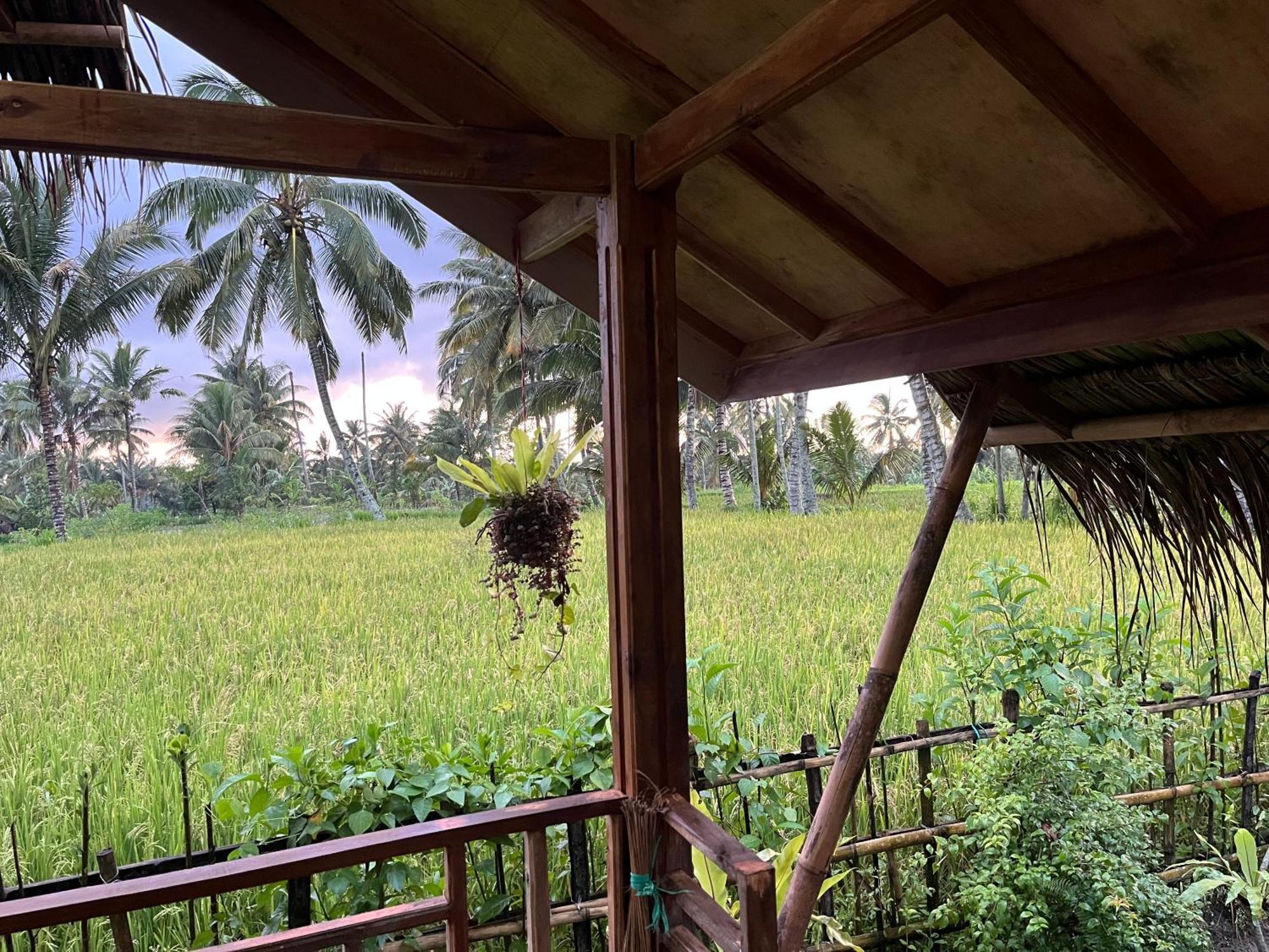 Syaqila Homestay Lombok Tetebatu Ngoại thất bức ảnh
