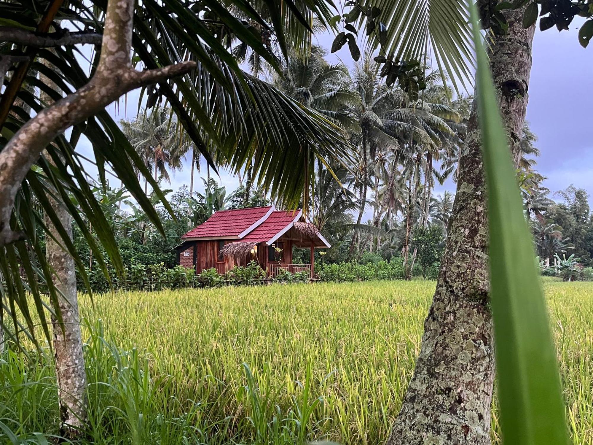 Syaqila Homestay Lombok Tetebatu Ngoại thất bức ảnh